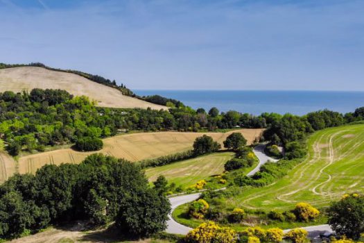 The amazing panoramic view while climbing Mount San Bartolo by bike