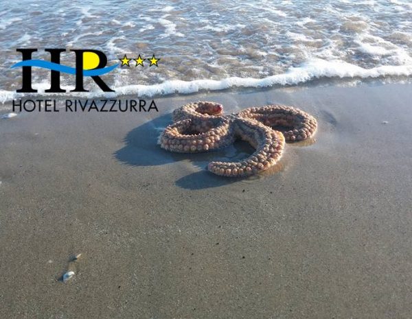 Offerta Settembre – Ultima Carezza d’Estate